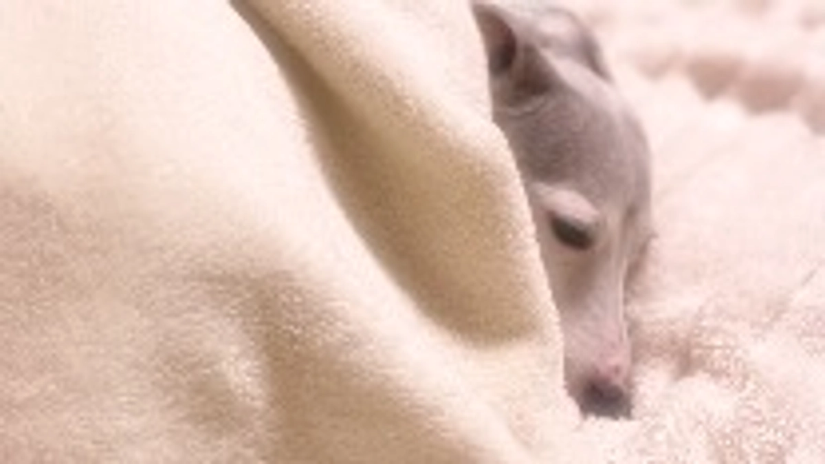 残り11日🗓️達成率13%⏰