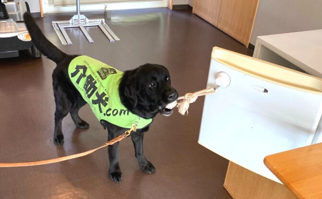 応援コース【3千円】