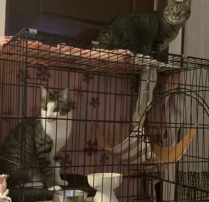 お久しぶりです。