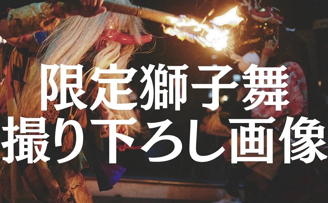 A｜限定獅子舞撮り下ろしデータ画像