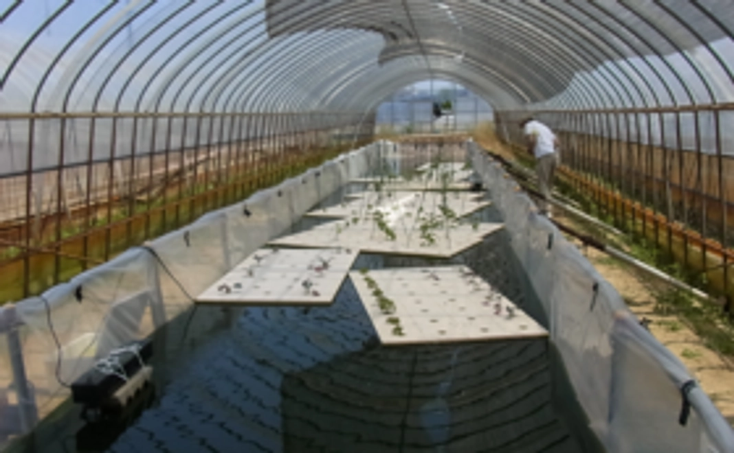 １０，０００円コース