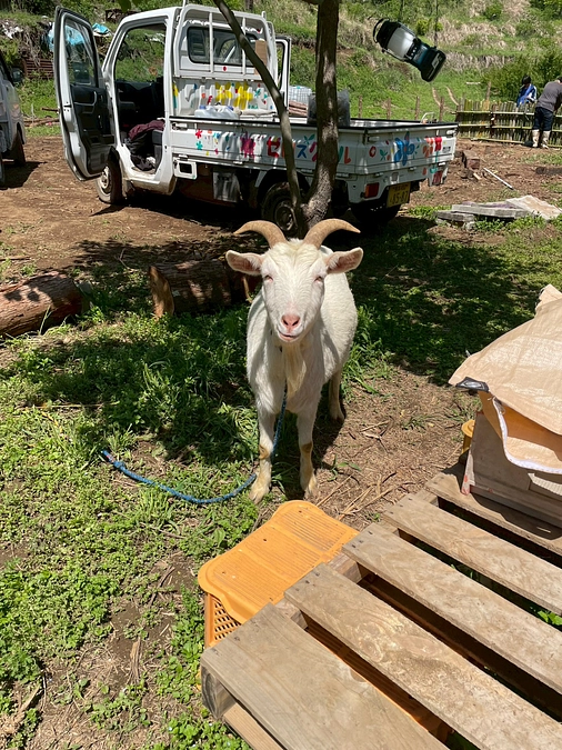 いよいよエコハウス創りスタート✮*｡ﾟ