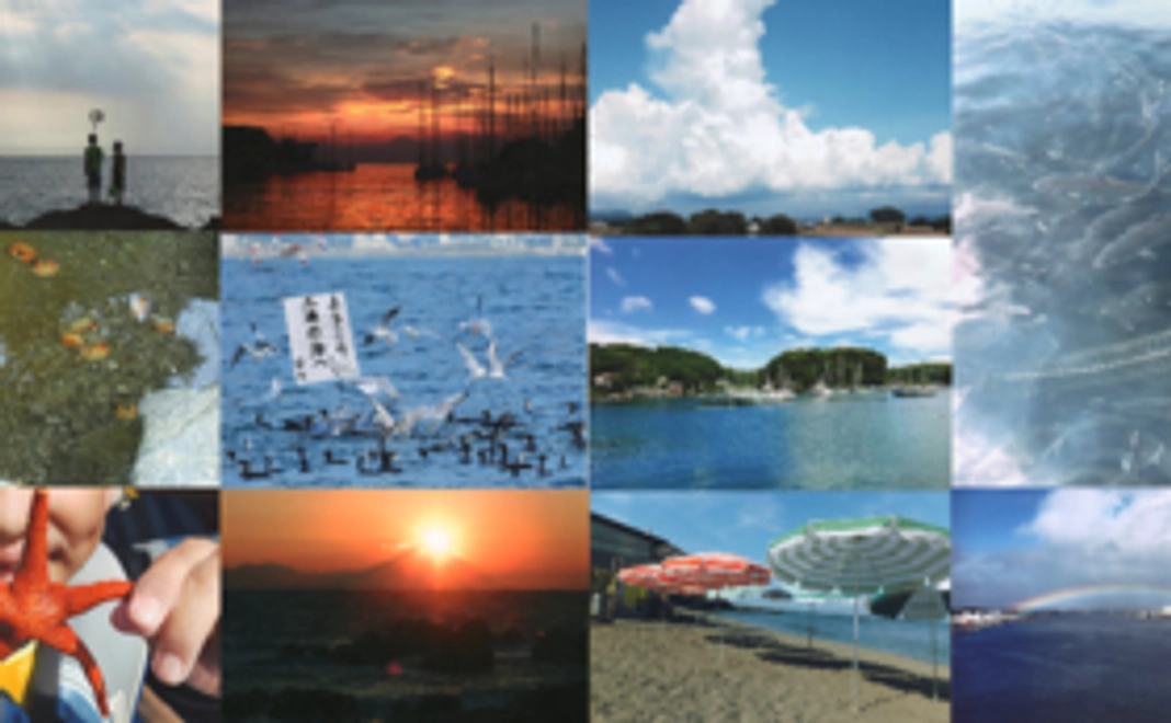 海洋教育写真コンテスト応援コース！