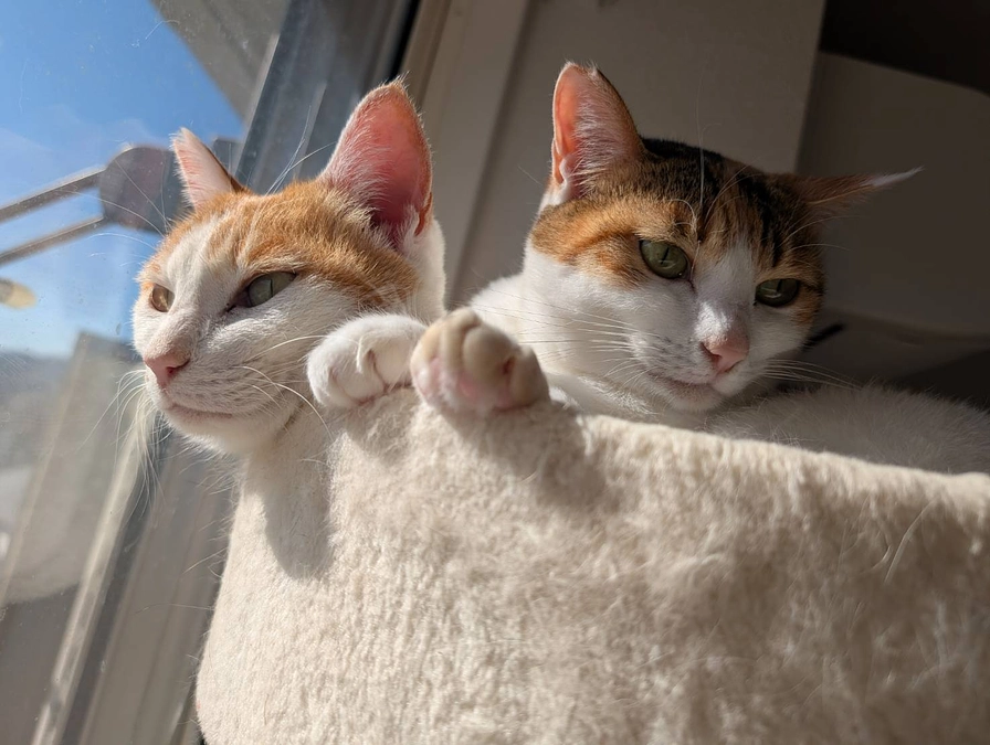 みーちゃん＆ひーちゃん親子