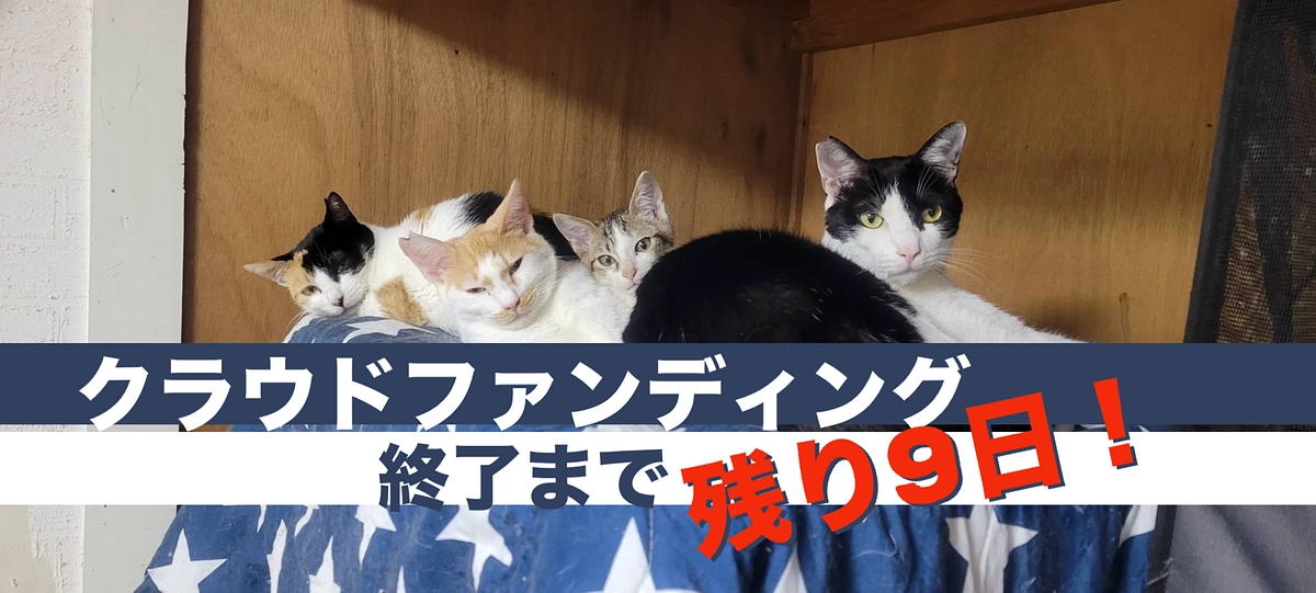 クラウドファンディングは残り9日です。
