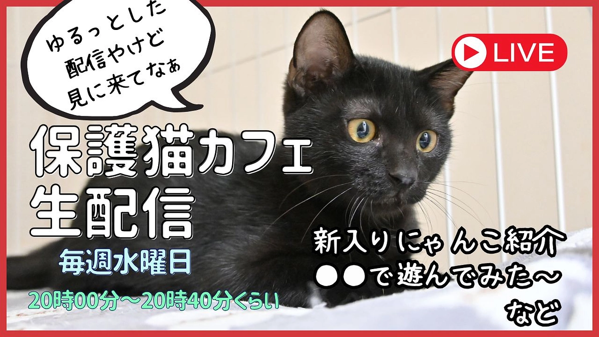 毎週水曜日はyoutube配信の日