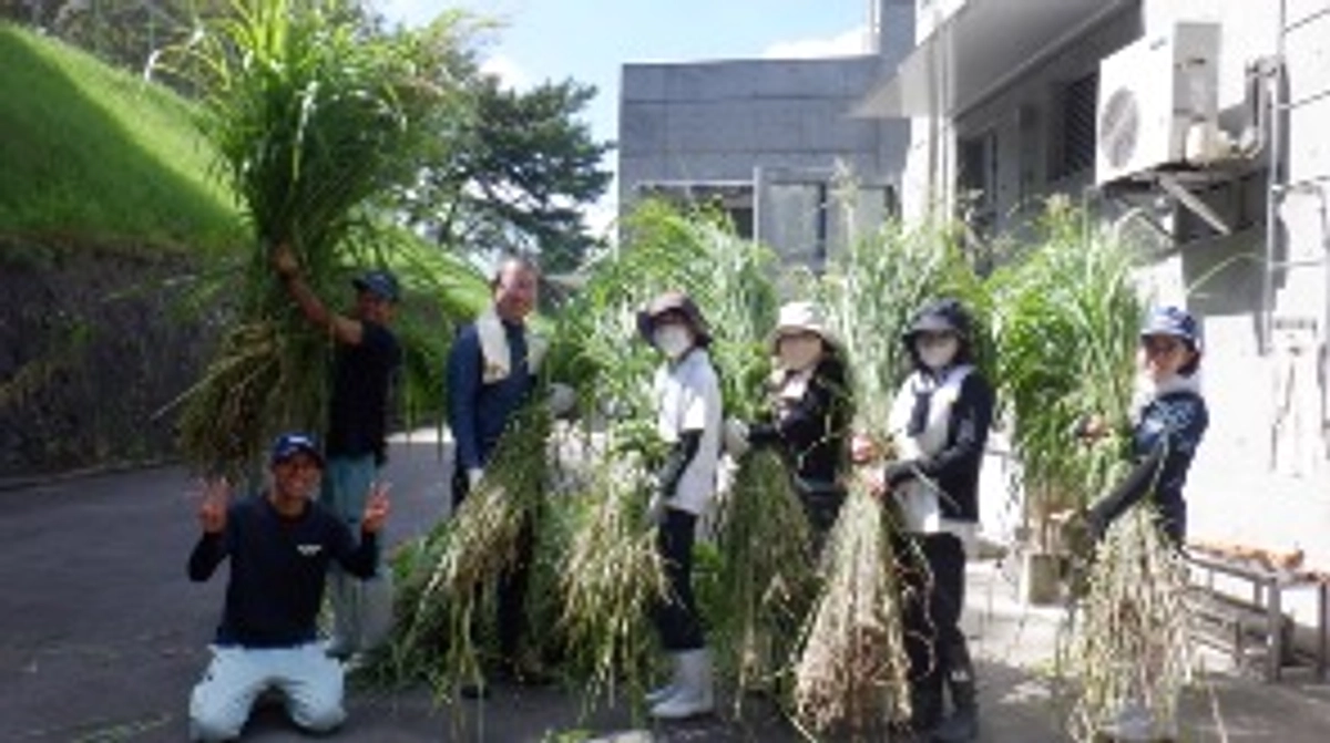 【活動報告74】リターン報告：「現地限定：ふじ子の青草刈り体験」を開催しました。