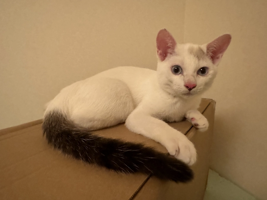 皆さまの温かいご支援に、心より感謝申し上げます