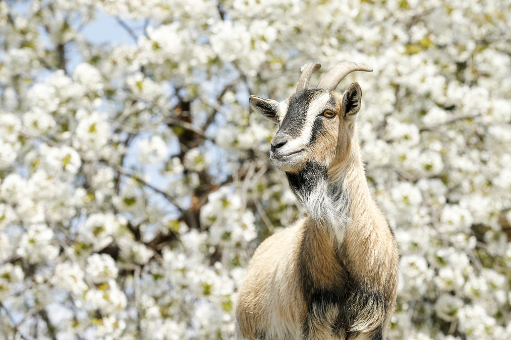 4月13日(土) 返礼品発送開始のご連絡