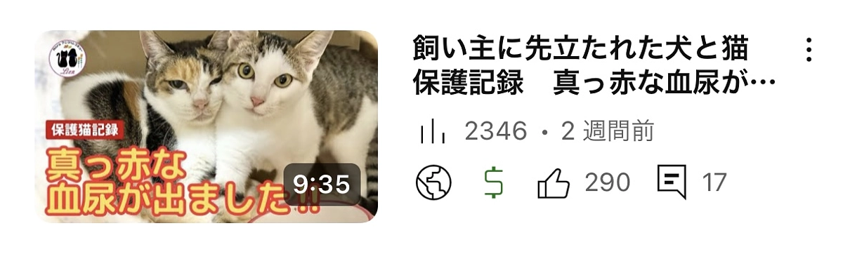 すごい血尿がでました