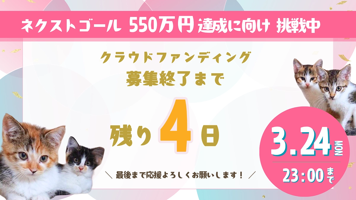 猫にゃんズのリフォームプロジェクト終了まで【残り4日】