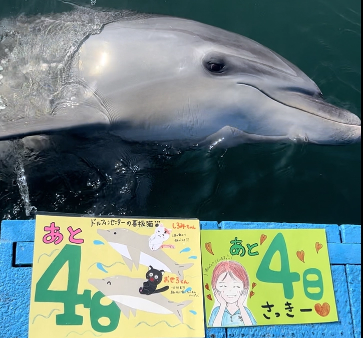 残り4日となりました！　＆　リターン紹介【トレーナー交流会】