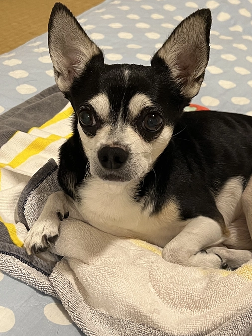 クラウドファンディング残り15日‼︎