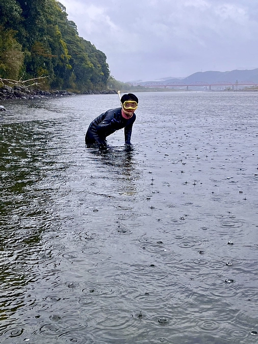 本日3回目の四万十川の落ちあゆ調査です。