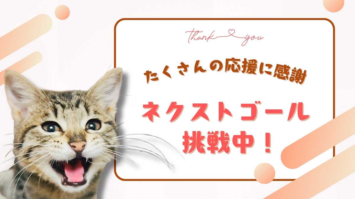 おかげさまで第一目標400万円を達成しました！〜ネクストゴール500万円挑戦中〜
