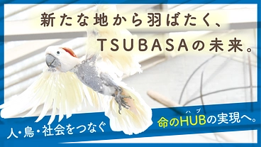 TSUBASA｜次の空へ羽ばたく居場所。新拠点への移転にご支援を！ のトップ画像
