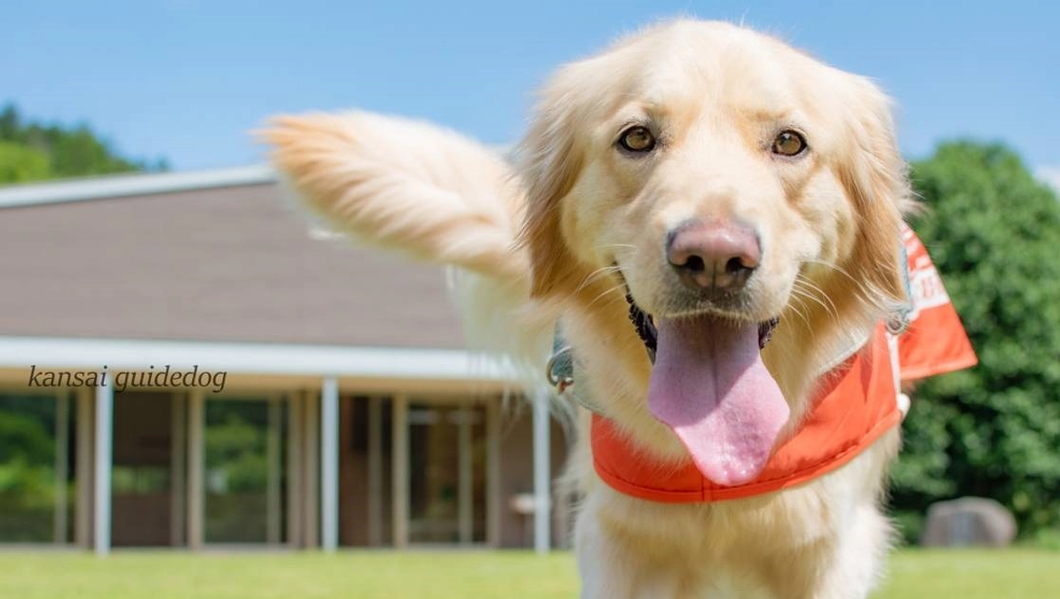 本年のクラウドファンディングの予告（２０２３／０６／２６）