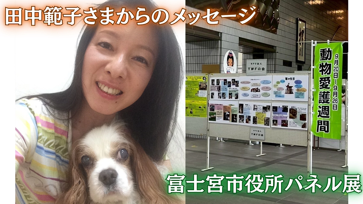 田中範子さまからの力強いメッセージのご紹介🔥🔥富士宮市役所パネル展に展示していただきました！