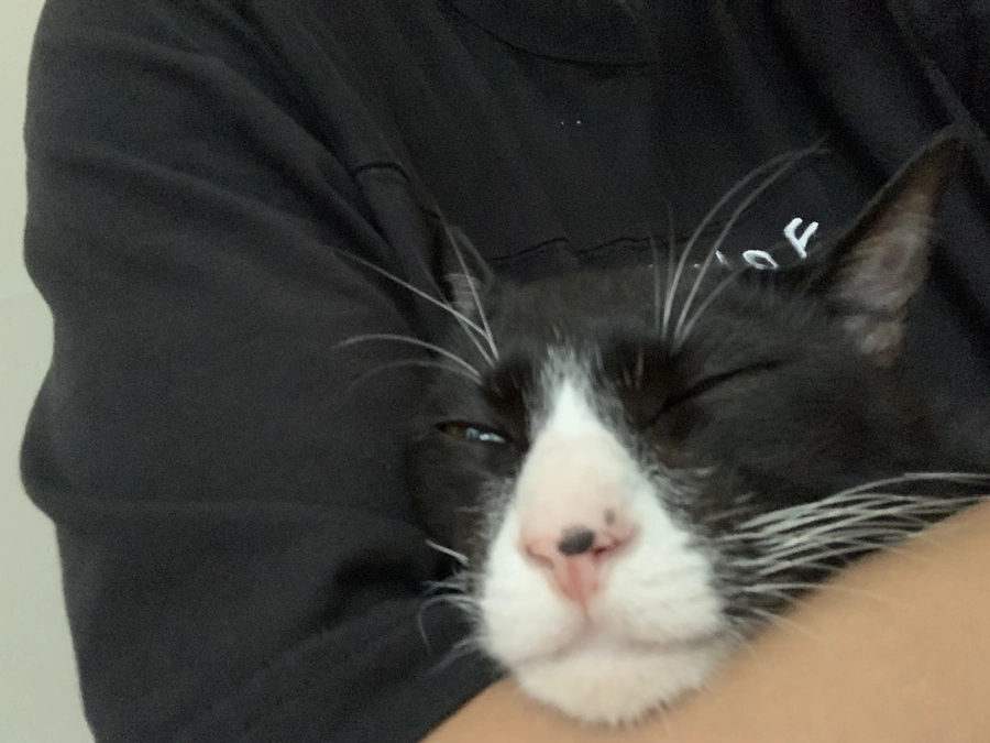 ラストスパート、目標達成まであと一歩です！