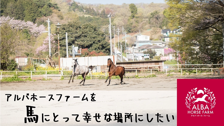 乗馬クラブ【アルバホースファーム】を馬にとって幸せな場所にしたい