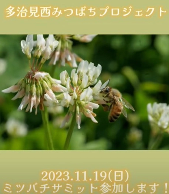 多治見西高ショートムービー