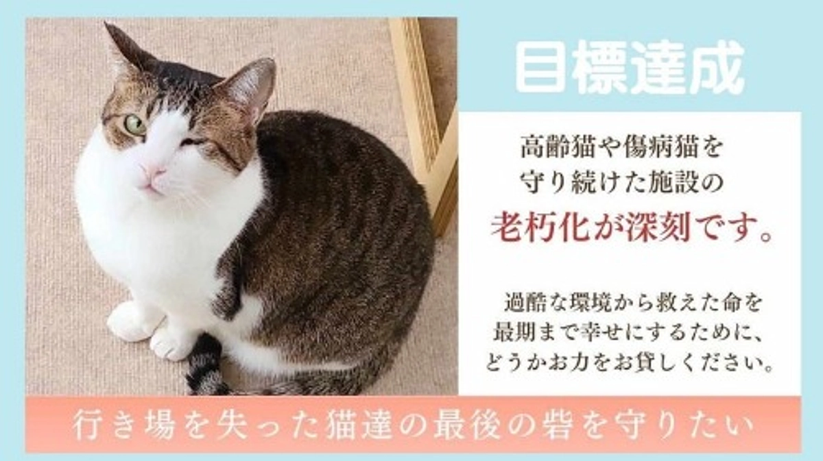 皆様本当にありがとうございました。代表からの御礼メッセージをお届けいたします。