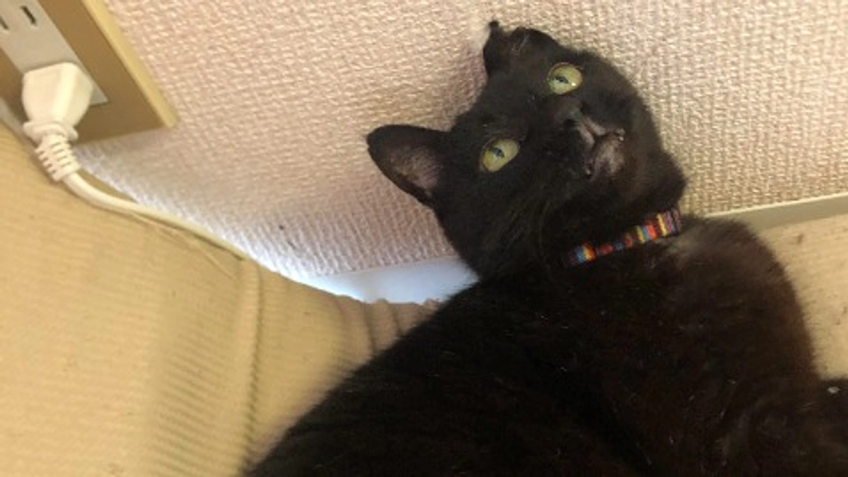 残りあと７日です＞＜