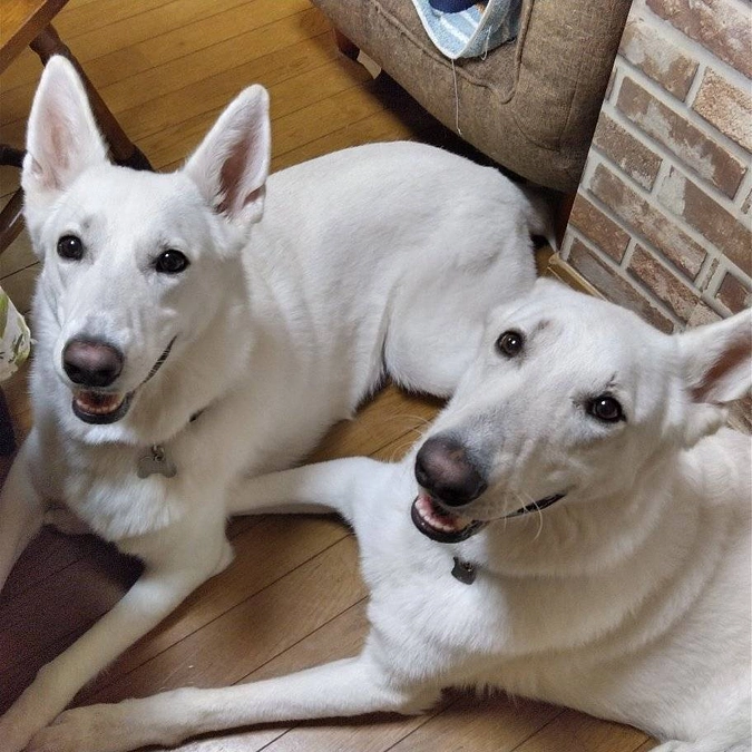 ★おかげさまで第一目標達成まで後20%‼️★