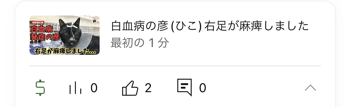 白血病の彦ちゃん　右足に麻痺が出てきました