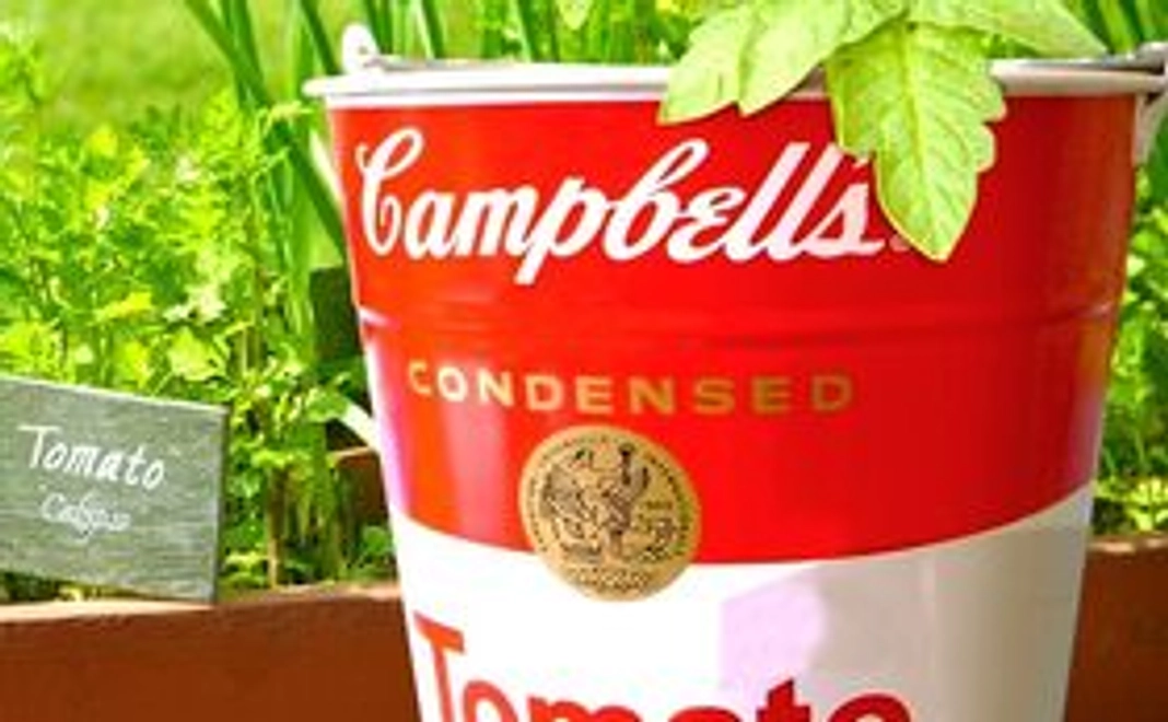 Campbell  Soup Can BUCKET