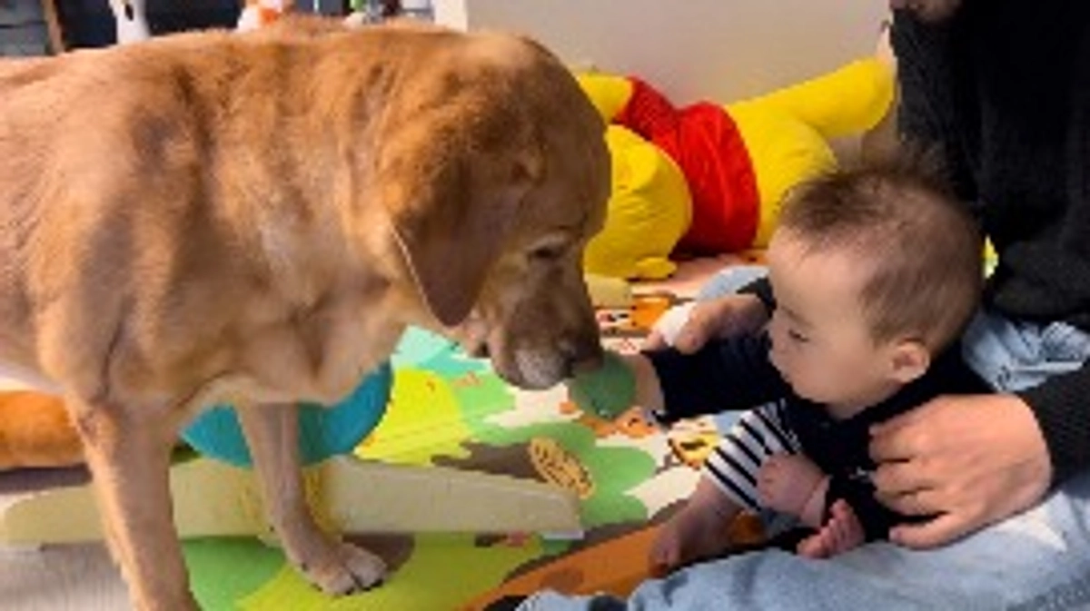 ありがとうございました😭