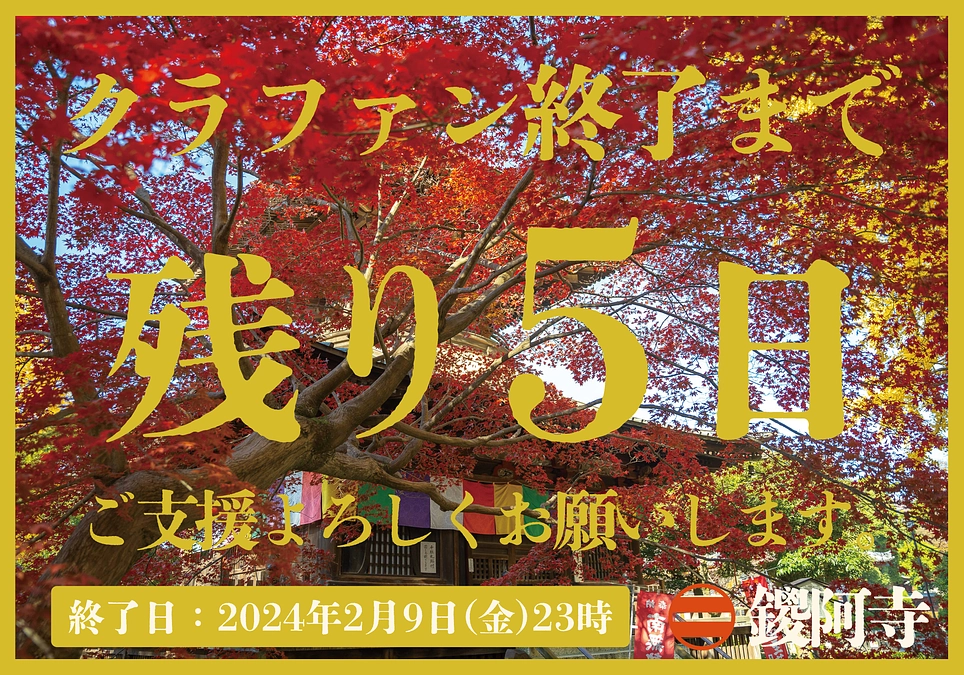 プロジェクト終了までの残り5日となりました。