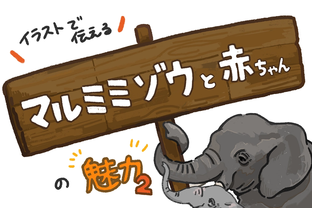 第2弾！【イラストで伝える】マルミミゾウの魅力　～妊娠・出産、そして子育て～