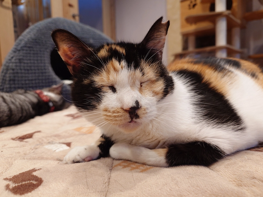 公開2日目、ありがとうございます。