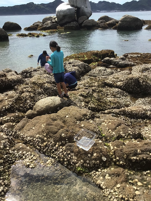 瀬戸内トラストニュース81号を発行しました！