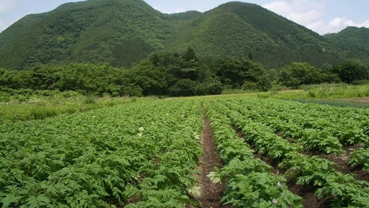 自然循環型農法をもっと多くの人に伝える施設を作りたい。