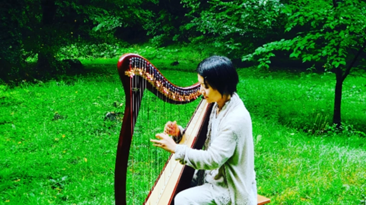 国産のスギとヒノキを使ってハープを作り、森の再生に貢献したい