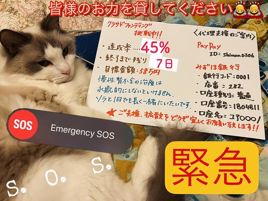 プロジェクト終了まであと7日