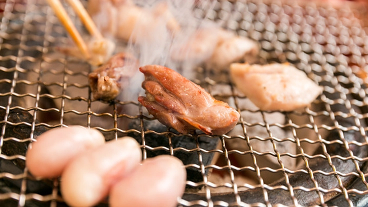 限界集落の幻の地鶏・土佐ジローを救え！加工場建設プロジェクト