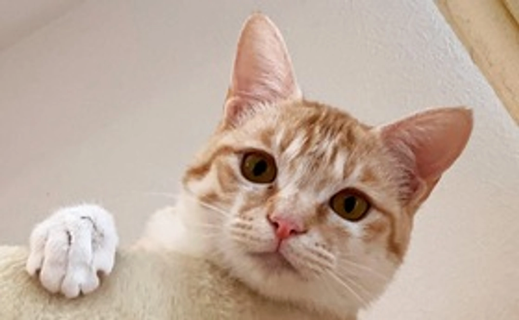 ララ応援コース(1000円リターン不要)