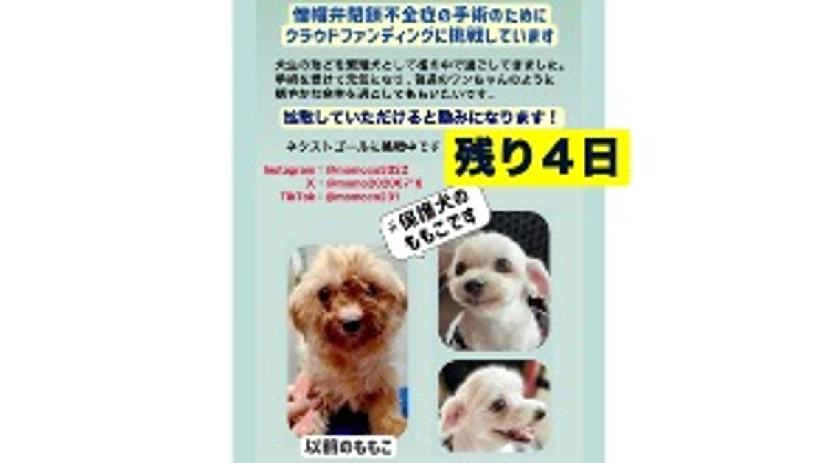 終了まで残り４日となりました。