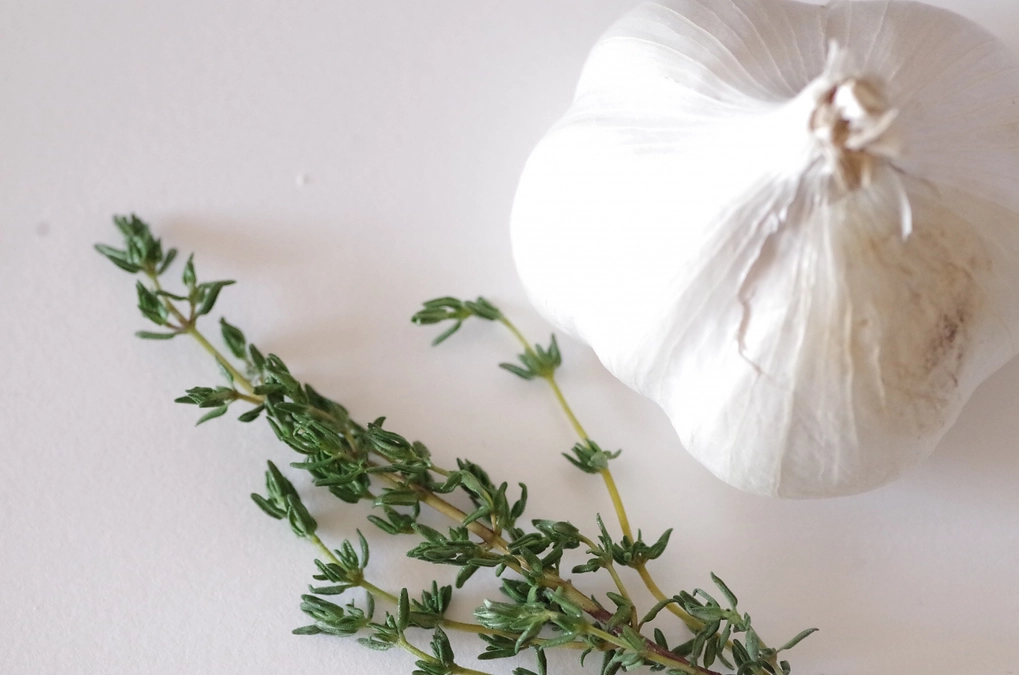 SEIZE THE DAY「THE WORLD」Report-5