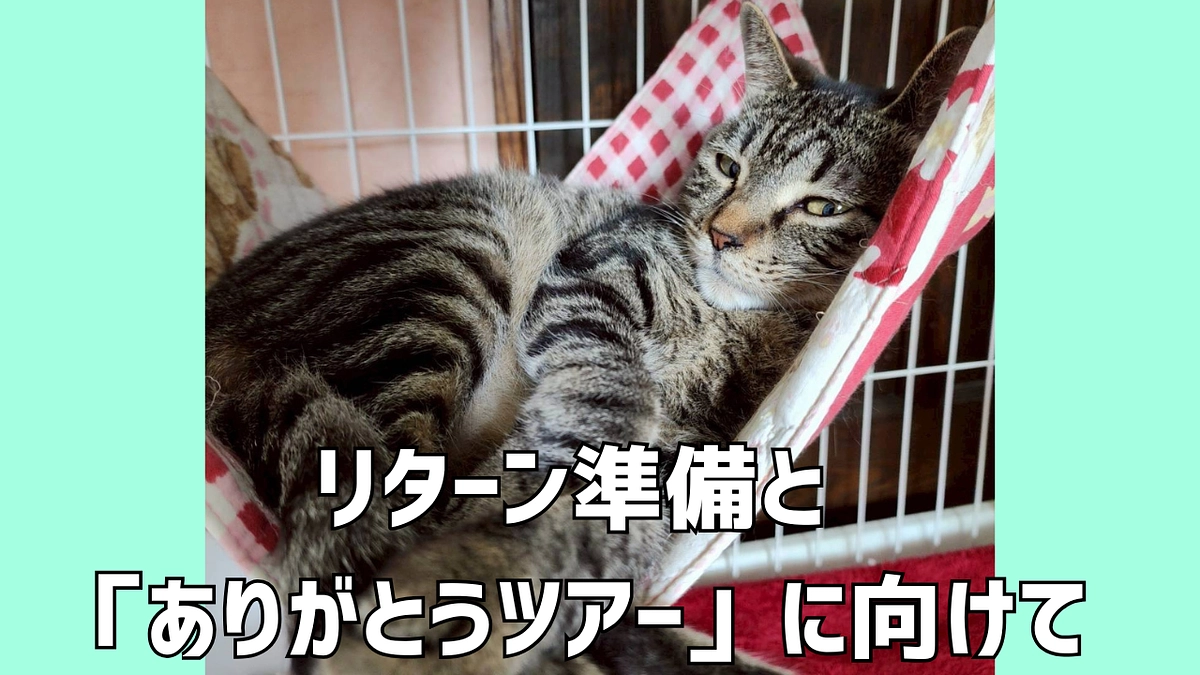 🎉リターン準備と「ありがとうツアー」に向けて🐾