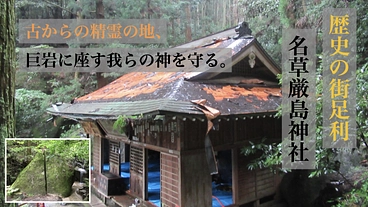 歴史の街足利名草厳島神社｜古からの精霊の地巨岩に座す我らの神を守る のトップ画像