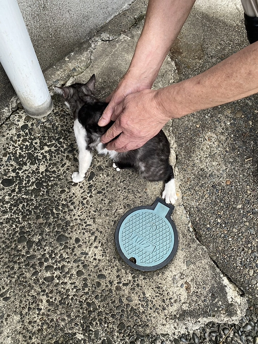 【緊急支援基金の寄付使途レポート】『新潟動物ネットワーク』に寄付をお届けしました