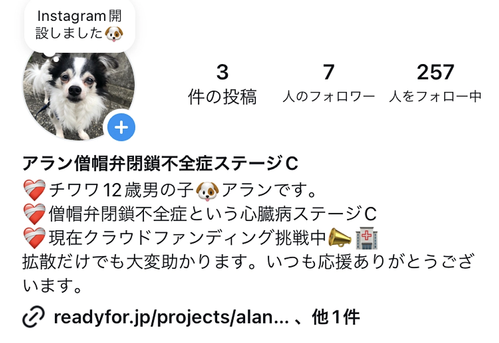 アランInstagram開設しました