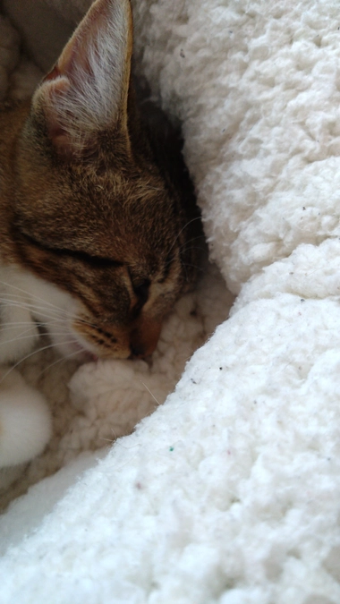 定期検診でした。