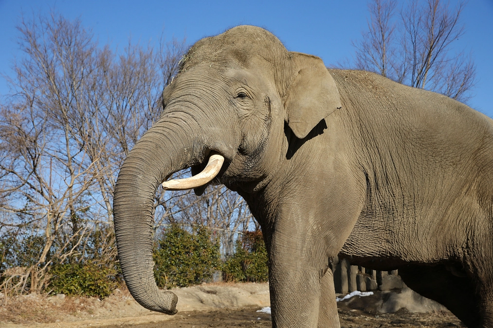 2月28日(水) 残り1日！ 進捗報告・返礼品紹介～体験型返礼品まとめ～