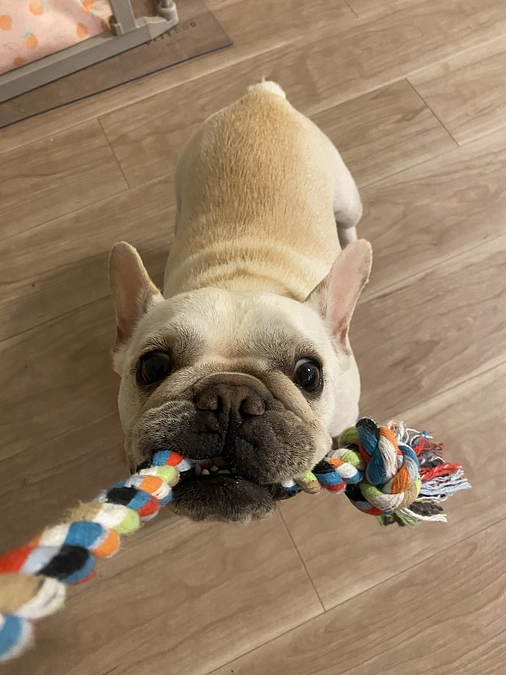 最近ちょっと調子いいかも！