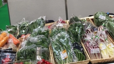 築地から、オーガニックの灯を消したくない のトップ画像